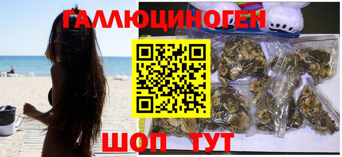 Железноводск  Галлюциногенные грибы GOLDEN TEACHER  Вход с VPN 