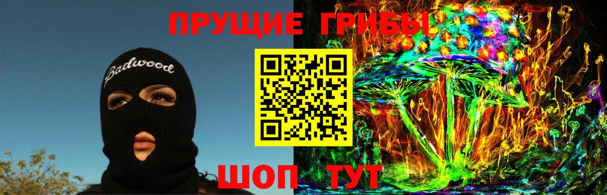 Псилоцибиновые грибы GOLDEN TEACHER Железноводск